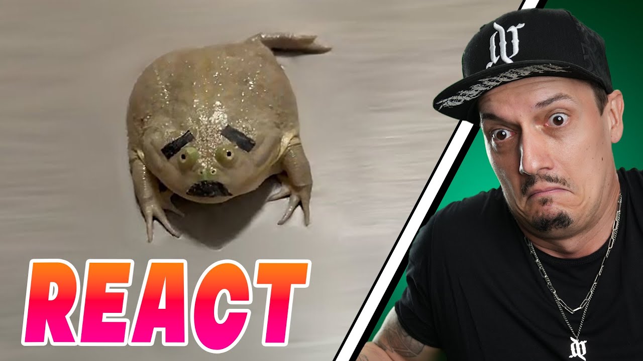 Internet Treasures #2 🐸 SCHÄTZE DIE MAN NOCH NICHT KENNT 🤣 - React