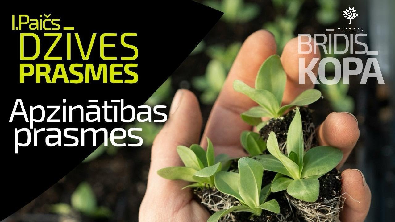 Kas īsti jāsaprot ar tik bieži lietoto jēdzienu “apzinātība”?