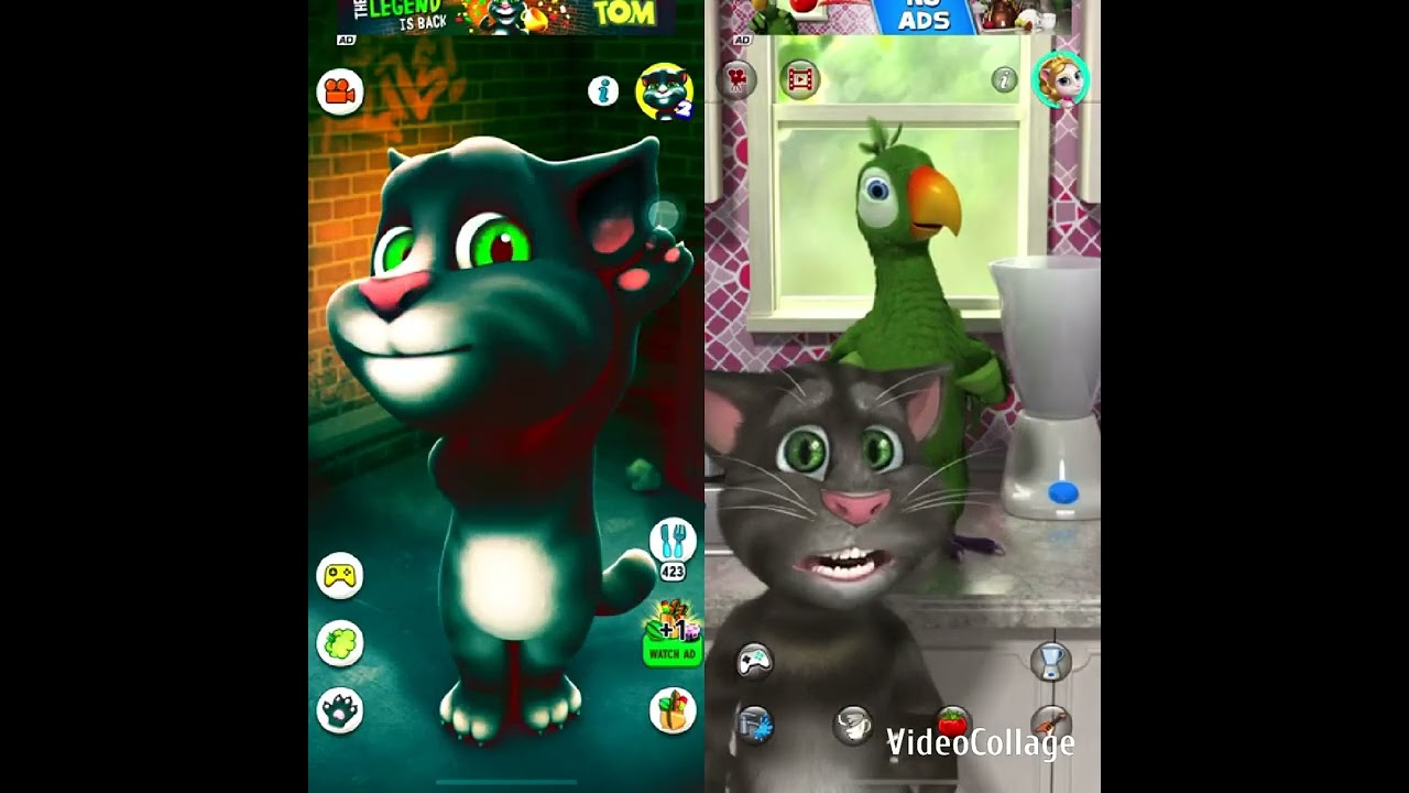 Talking Tom Cat vs Talking Pierre The Parrot Gameplay