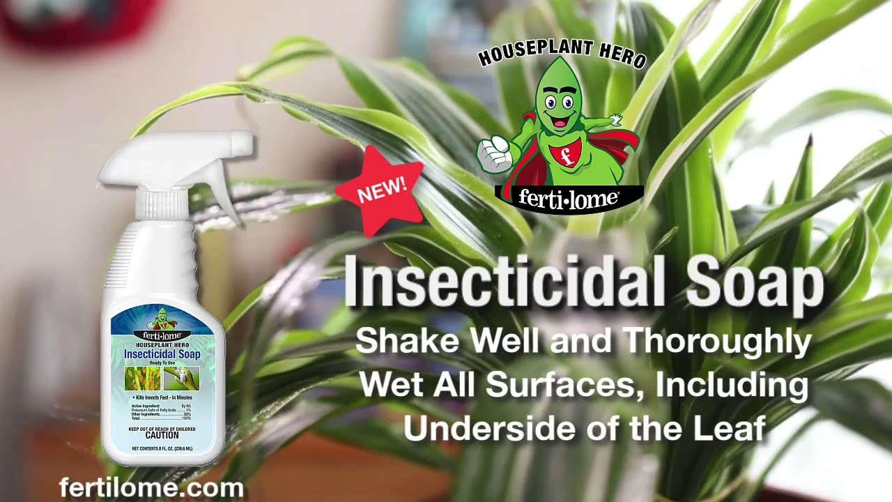 NEW! Houseplant Hero Insecticidal Soap