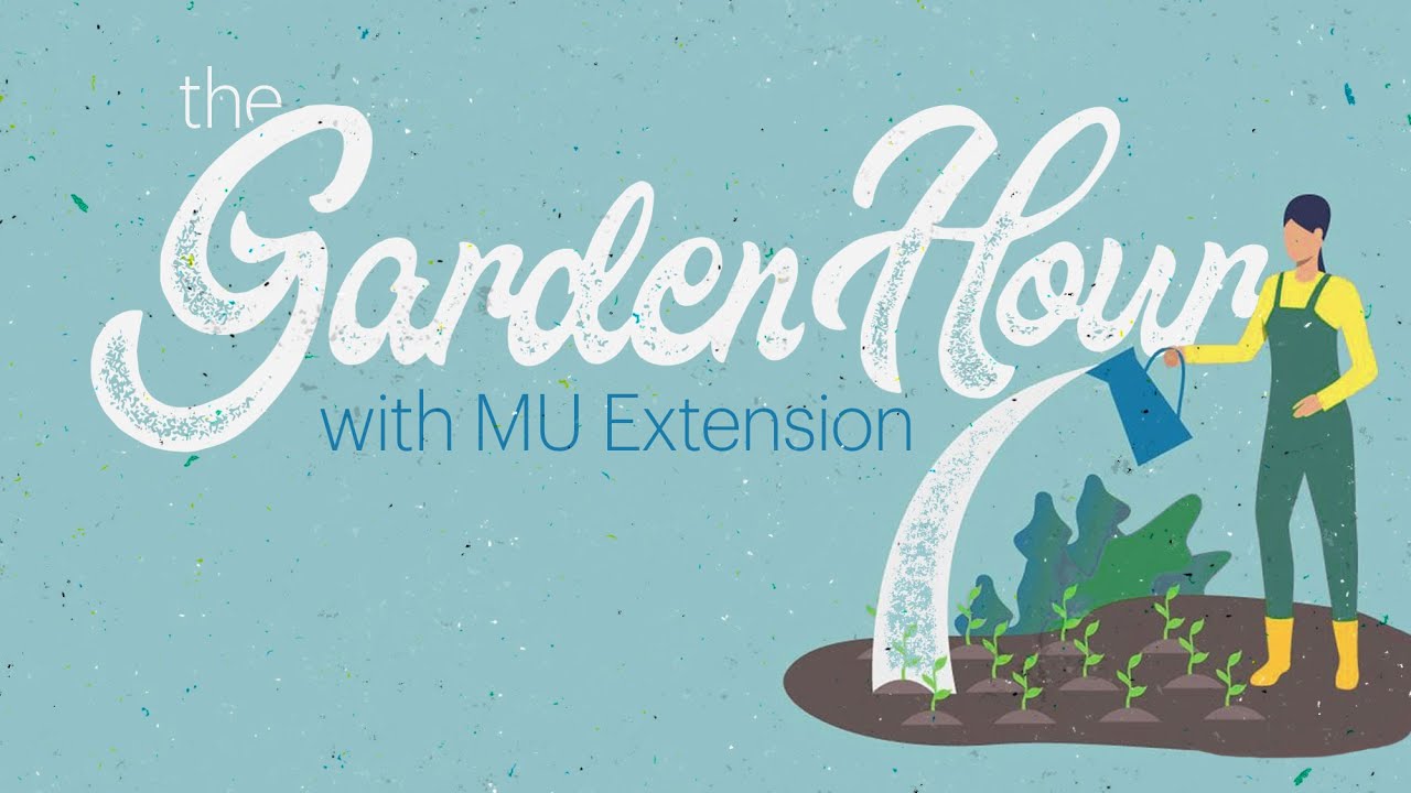 The Garden Hour with MU Extension – 10/15/25