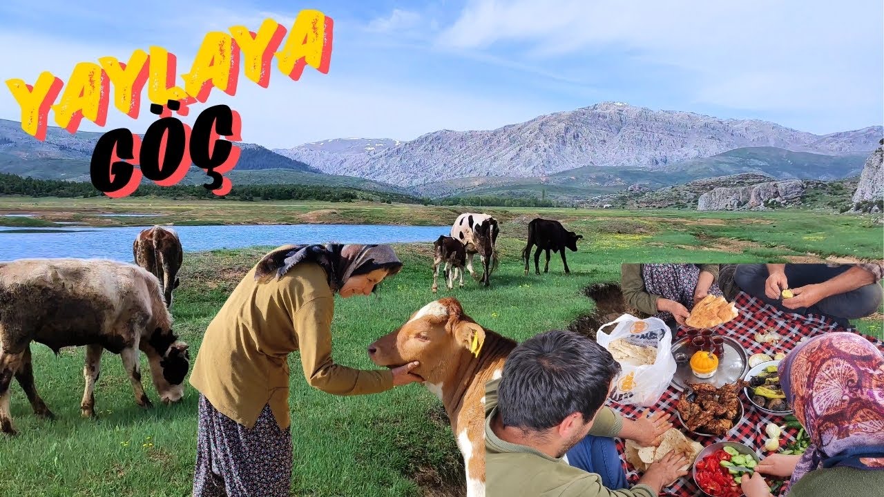 DÖRT SAATLİK ZORLU GÖÇ YOLU