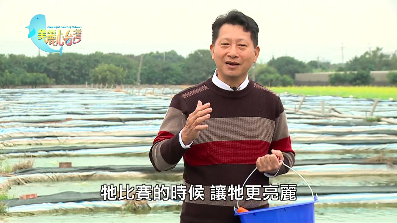 【雲林莿桐】張堂恩的冠軍寶貝 | 用心的產業 | 309 | #美麗心台灣