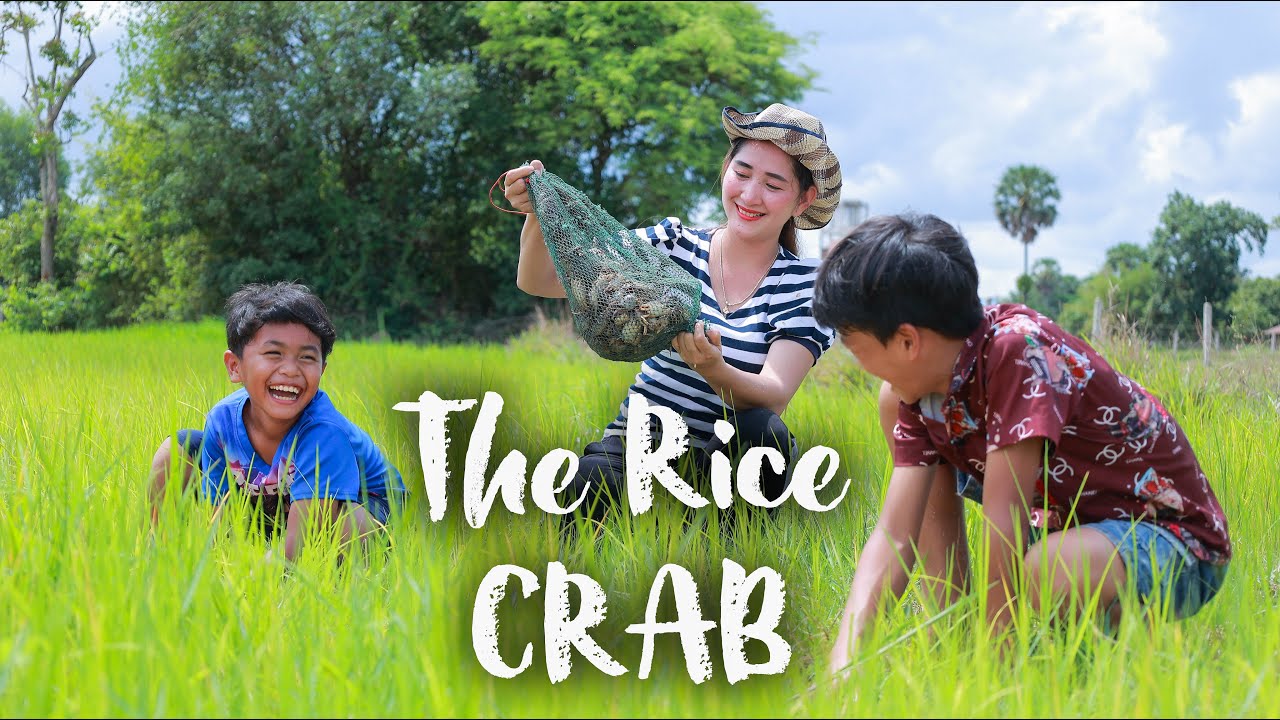My relax time to find rice crab with my brother | Catch rice crab for taro stalk soup