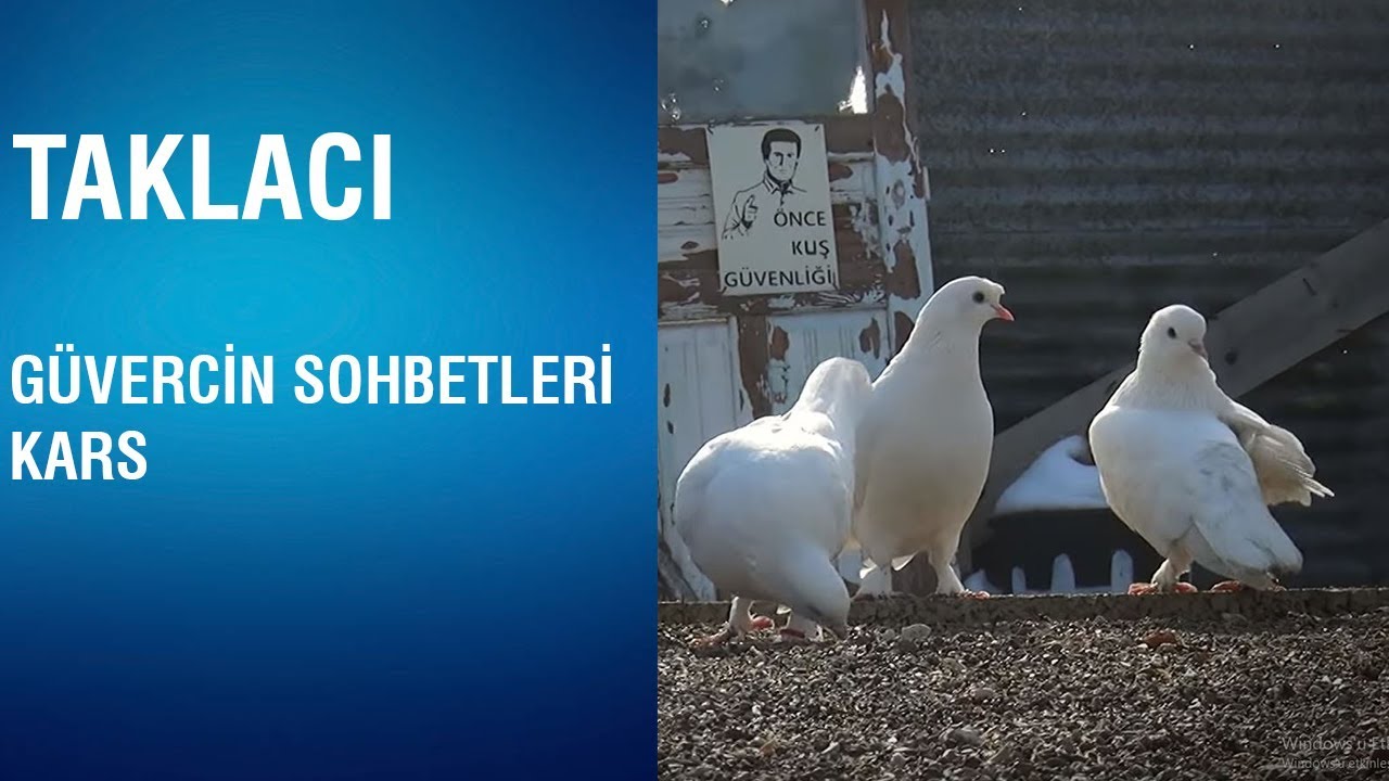 Taklacı - Güvercin Sohbetleri / Kars - 3.Bölüm