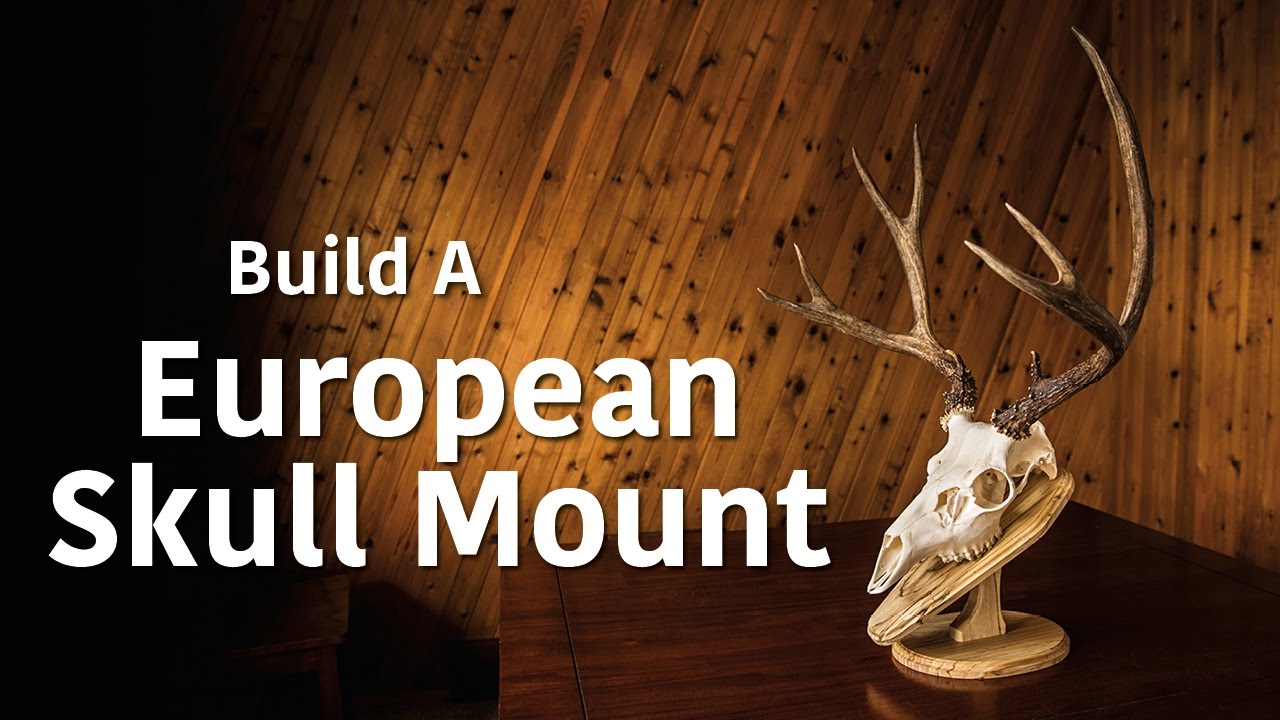 Making a European Mount Wall Plaque/Table Pedestal