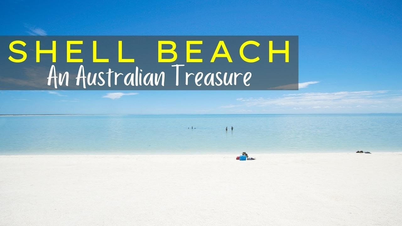 Shell Beach | Travel Guide | Shark Bay Western Australia