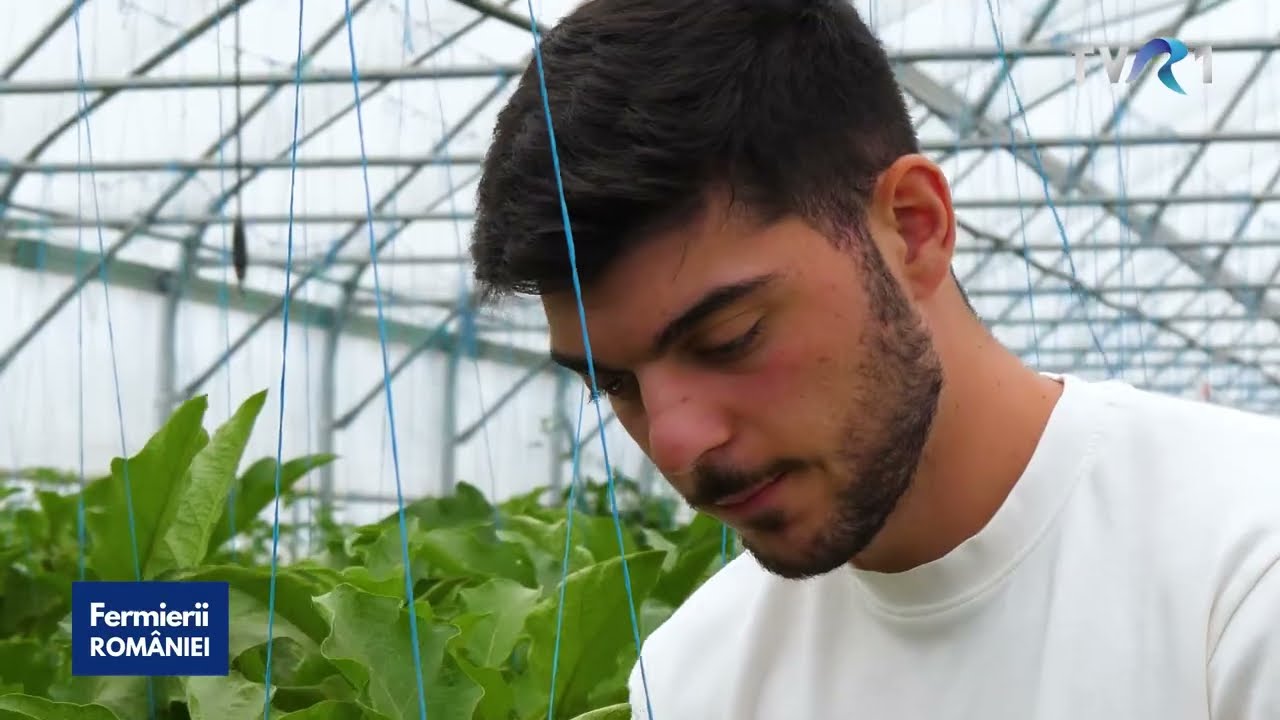 Ștefan Pitu, tânărul student care și-a făcut fermă de legume