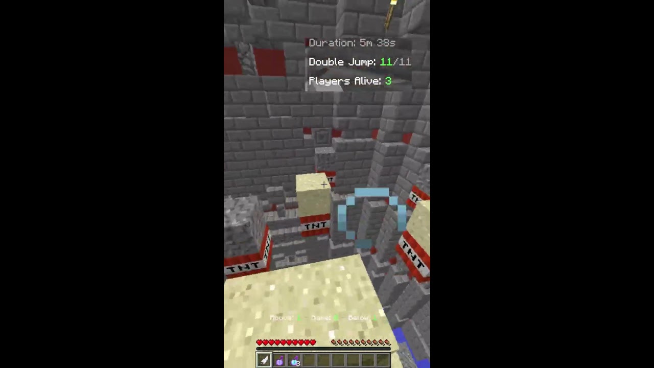 Minecraft Stream
