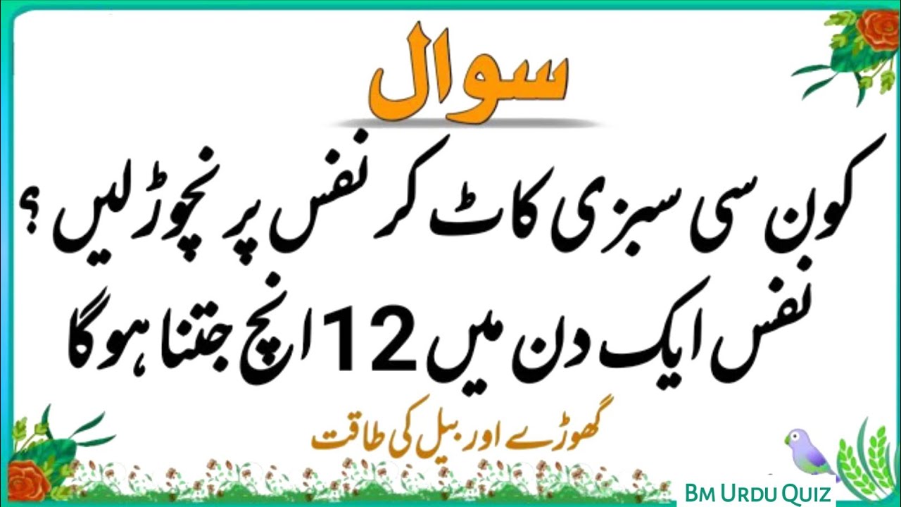 Sawal Jawab | Islamic Questions and Answers | Urdu Islami Paheliyan | Urdu Quiz | Bm Urdu Quiz 