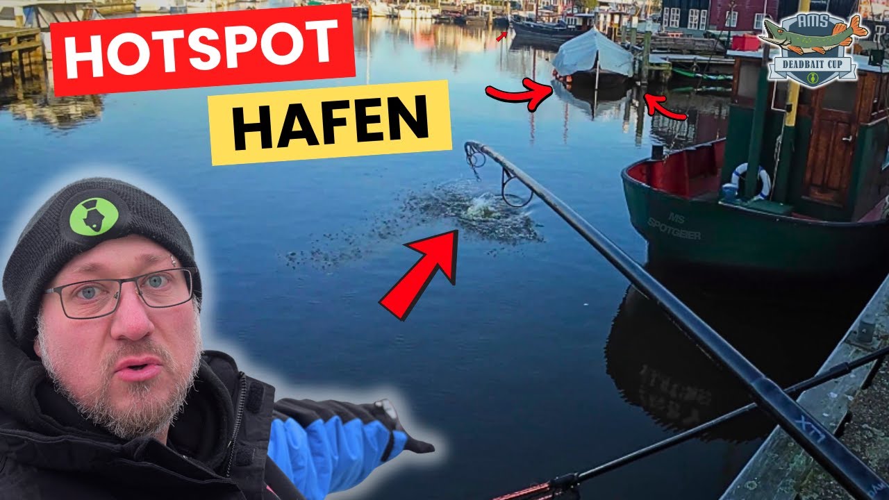 Hotspot Hafen – Köderfisch bringt Erfolg auf Hecht!