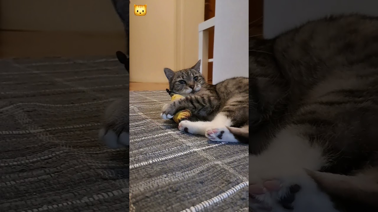 Milka I nova riba🐟😂