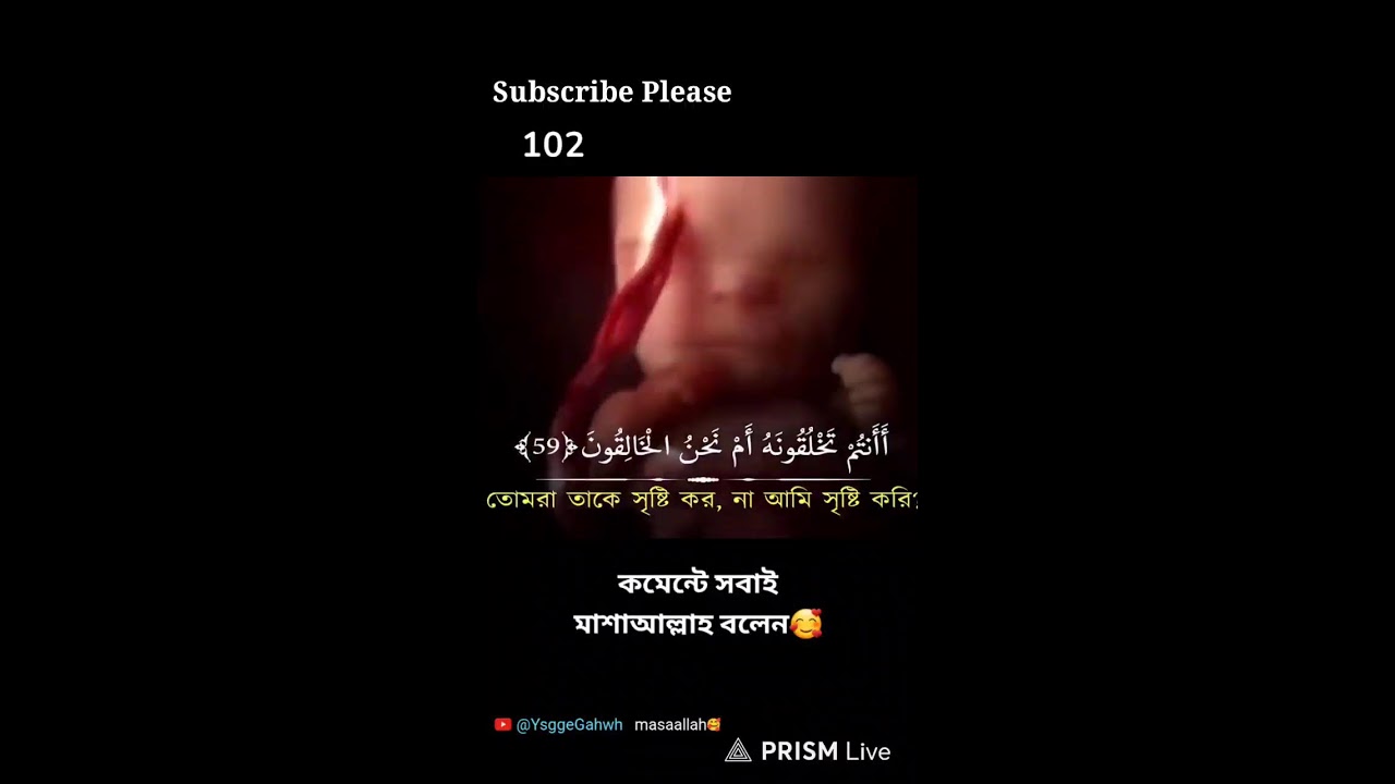 Live streaming of JUBAYER EDITOR