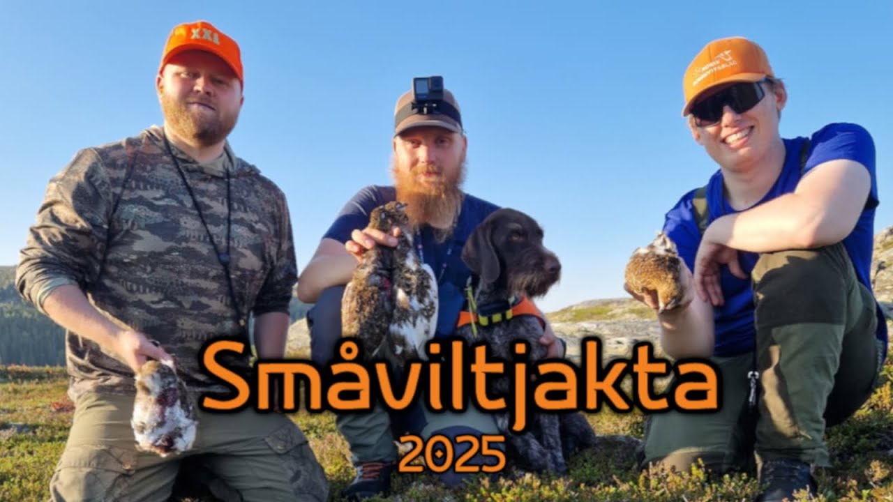 Småviltjakta 2025