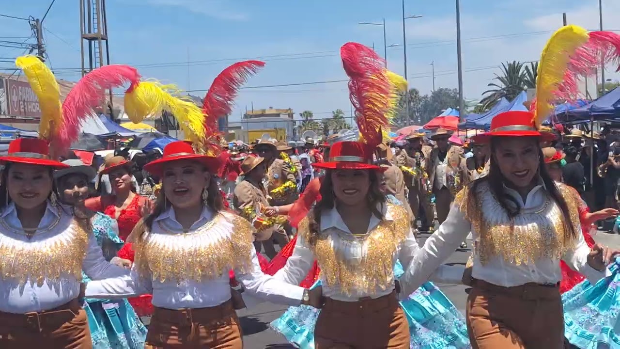 MICHAEL MORENADA FIGURAS FLOR DE VICUÑA PASACALLE FESTIVIDAD LA VIRGEN DE LA PEÑA ARICA 2025 💘🥰