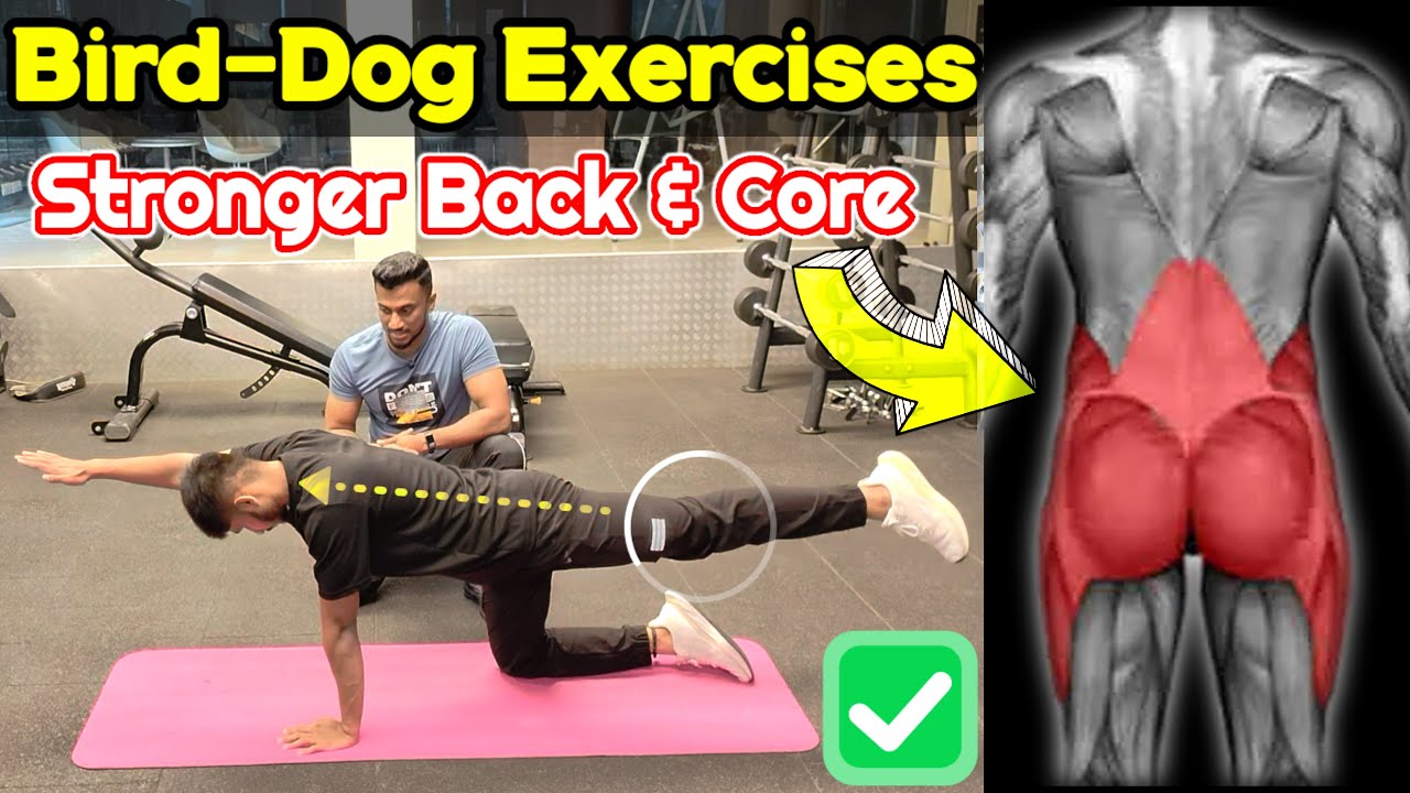 How to Do Bird Dog Exercise CORRECTLY (Avoid These Mistakes!)