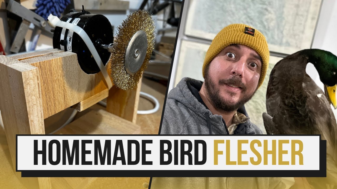 DIY Bird Flesher