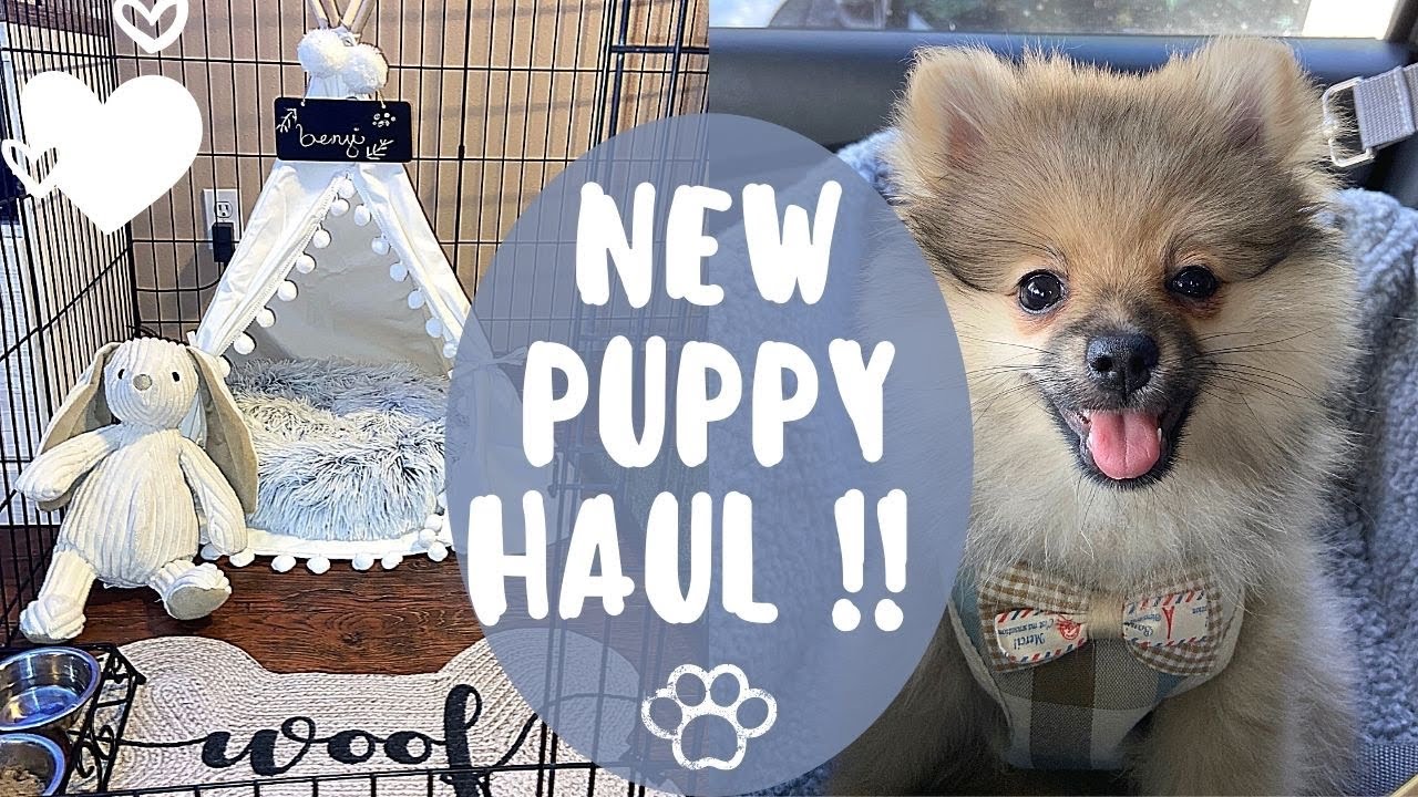 NEW PUPPY HAUL/ UPDATE (HomeGoods, Amazon, Petco)