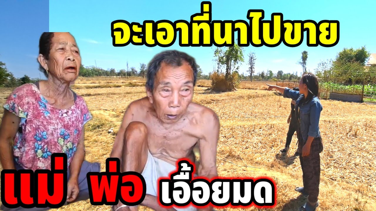 #เอื้อยมดทำขนาดนี้ น่าสงสารพ่อกับแม่😭 14 กุมภาพันธ์ ค.ศ. 2026