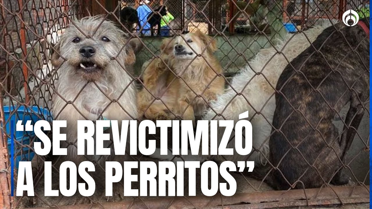 Abogado del Refugio Franciscano acusa intereses inmobiliarios detrás del desalojo: 