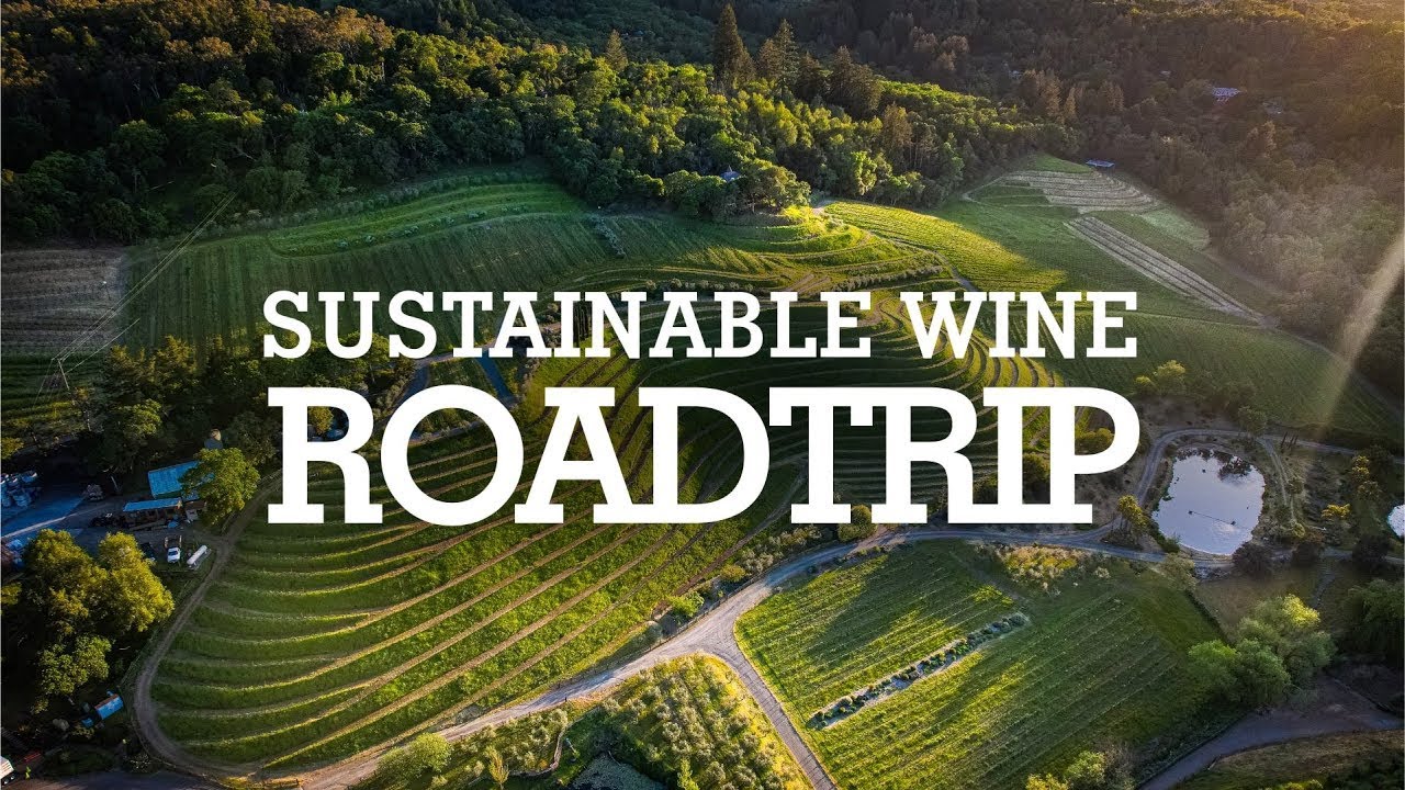 Discover the Ultimate Sustainable Wine Adventure in California