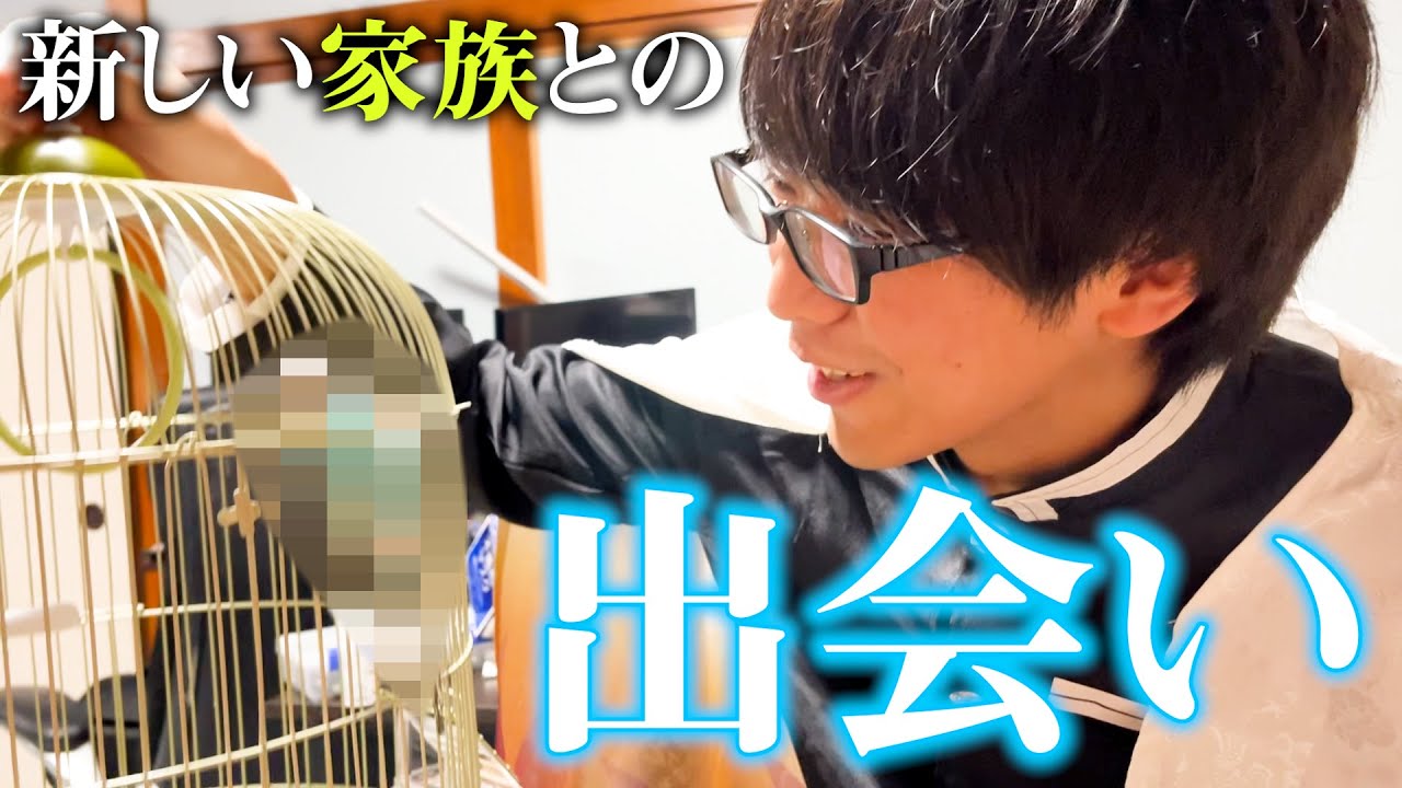 【誕生日おめでとう】萬伽里に新しい