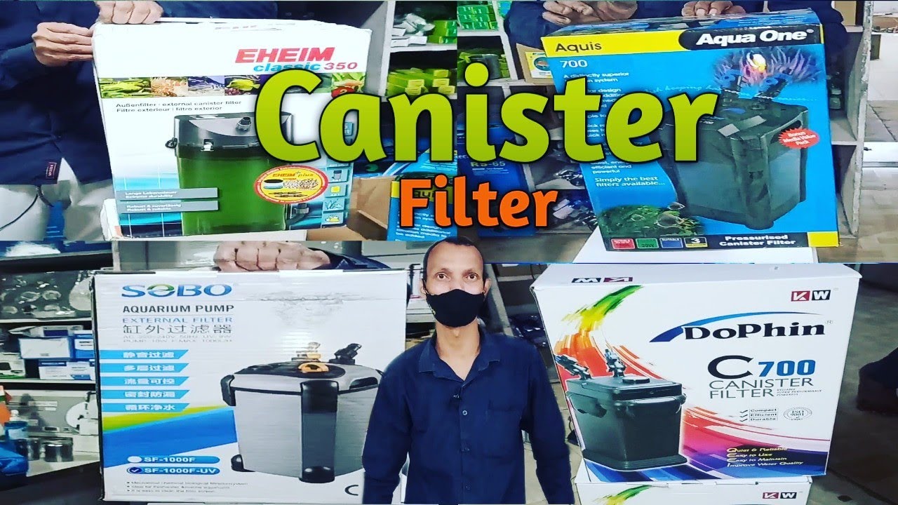 Imported Canister fish for Aquarium at Fish Aquarium Home Laxmi Nagar
