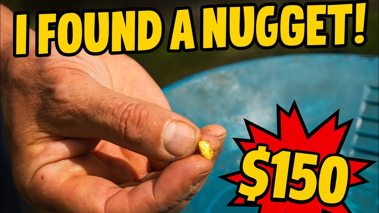 There’s nuggets here you won’t believe #prospecting #goldpanning #panningforgold #goldprospecting  