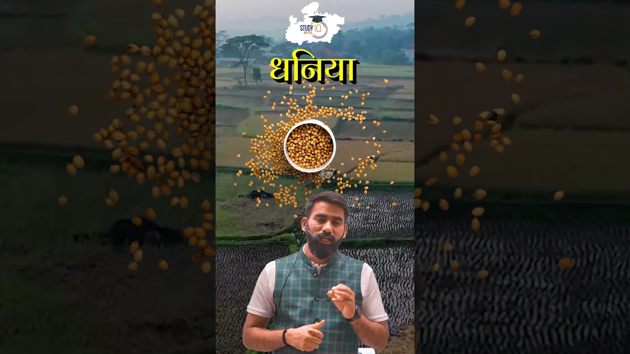 अब MP का ये शहर कहलाएगा 'गुलाबों का शहर', जानिए क्यों खास है गुना #CityOfRoses #MPCurrentAffairs