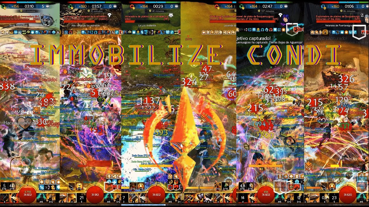 Gw2 WvW Zerg Inmobilize Spellbreaker Condi 23.06 [ARS]