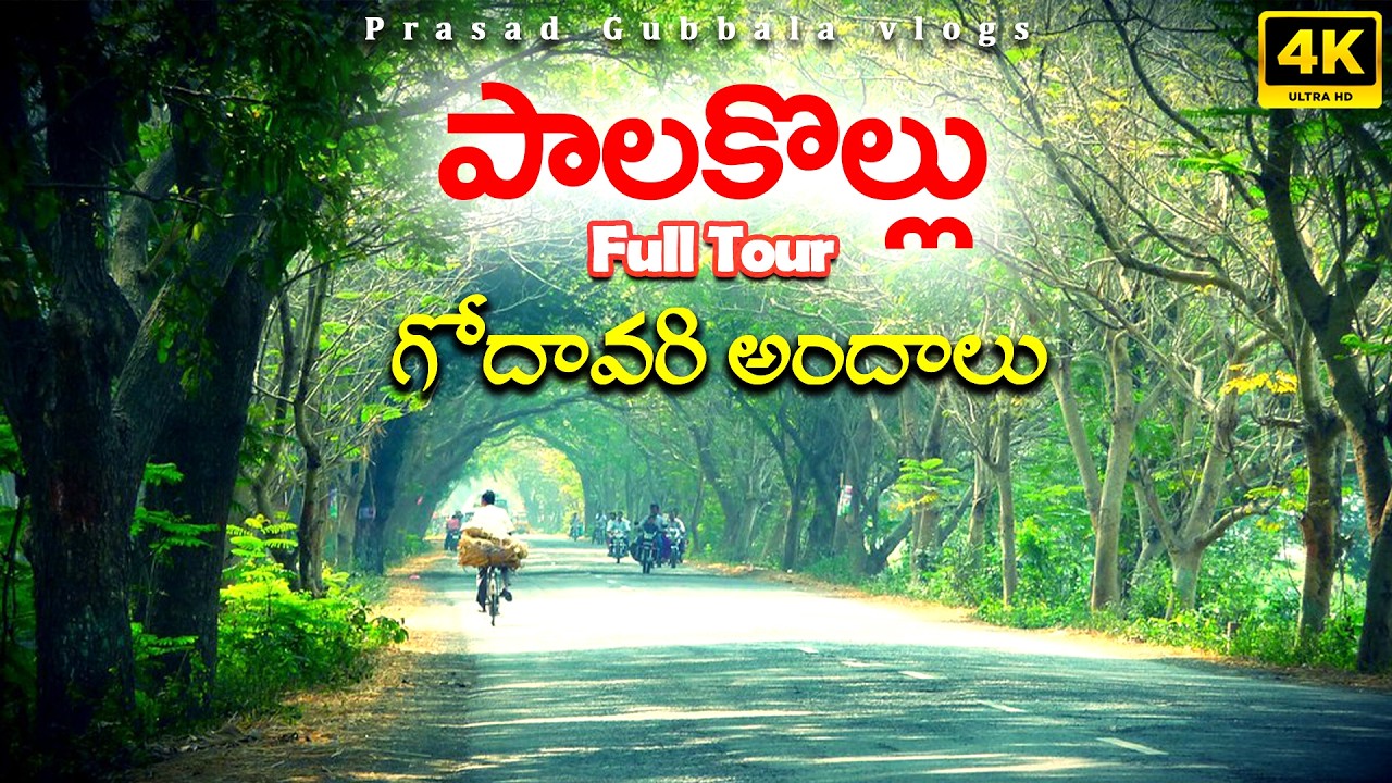 Palakollu Latest Vlogs: Palakollu Village Full Tour 2025 | West Godavari Tourist Places in Telugu