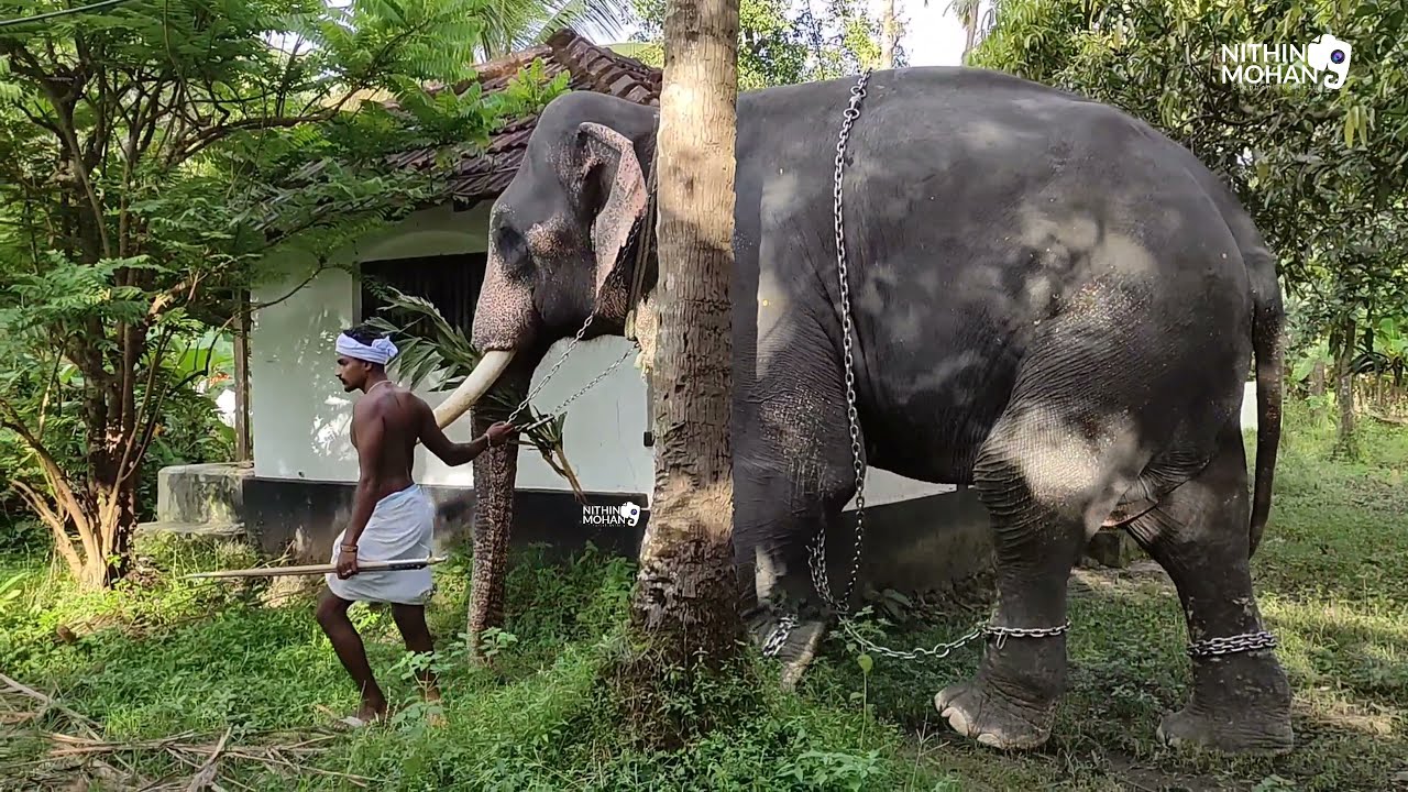 kolakkadan ganapathy part - 2