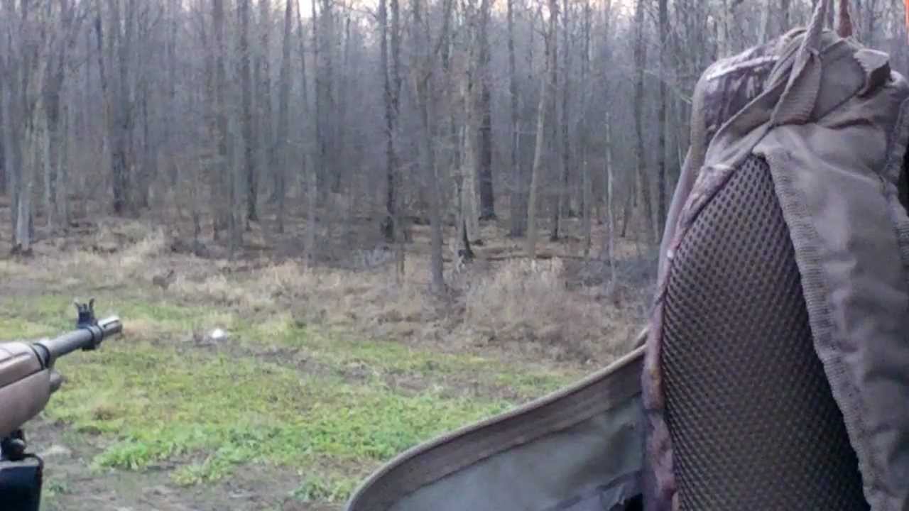 M1A Deer Kill