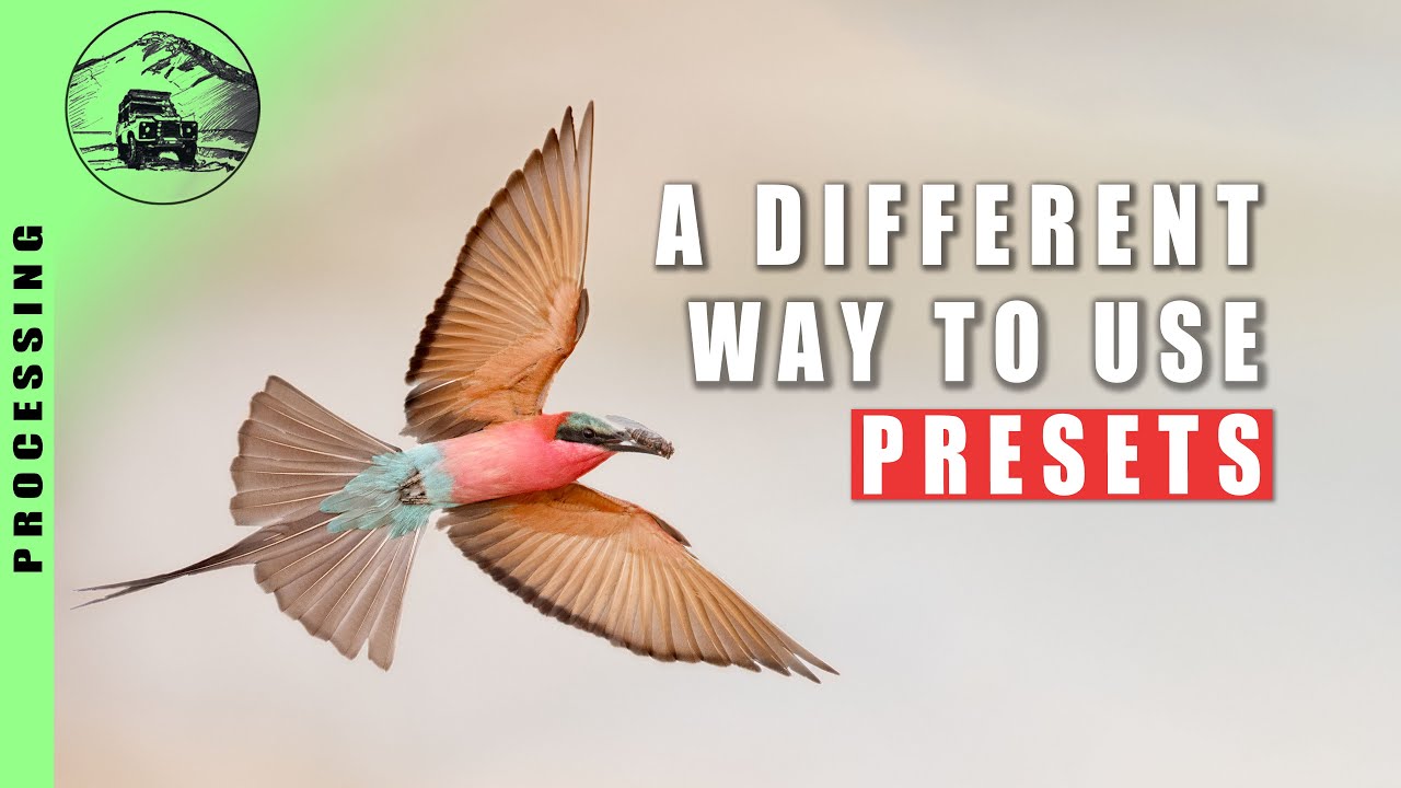 WILDLIFE PRESETS | The ideas behind the Wildlife Toolkit Workflow