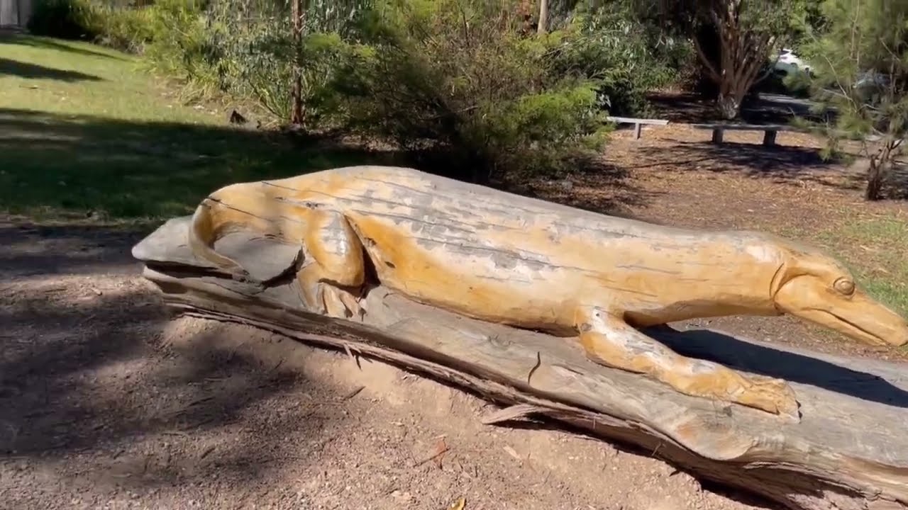Eltham Playground. Pinay in Australia