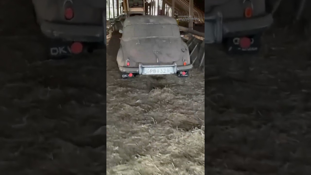 DKW Barn Find Rescue! Will it run?