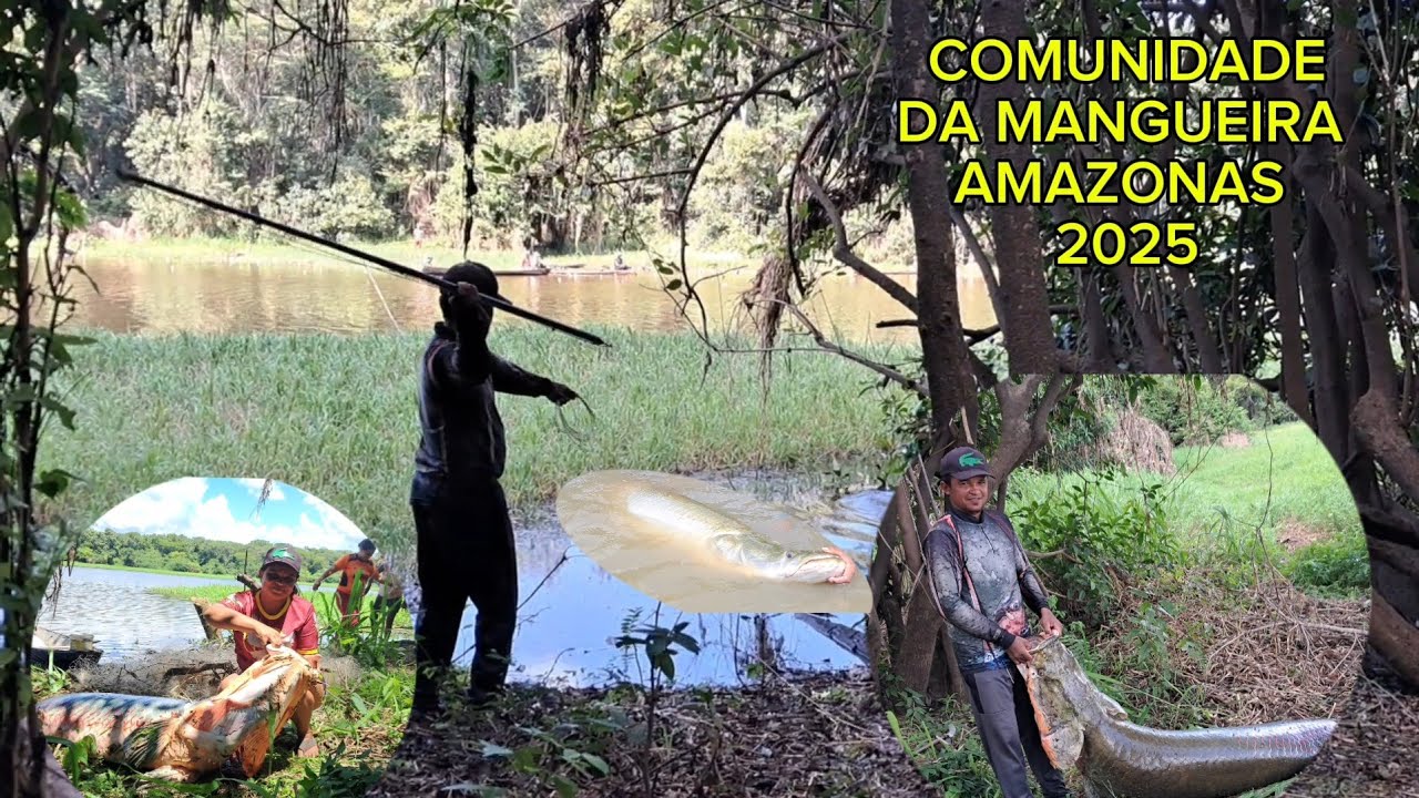 ACAMPAMENTOS LAGO DO AÇAÍ PIRARUCU NO ARPÃO 