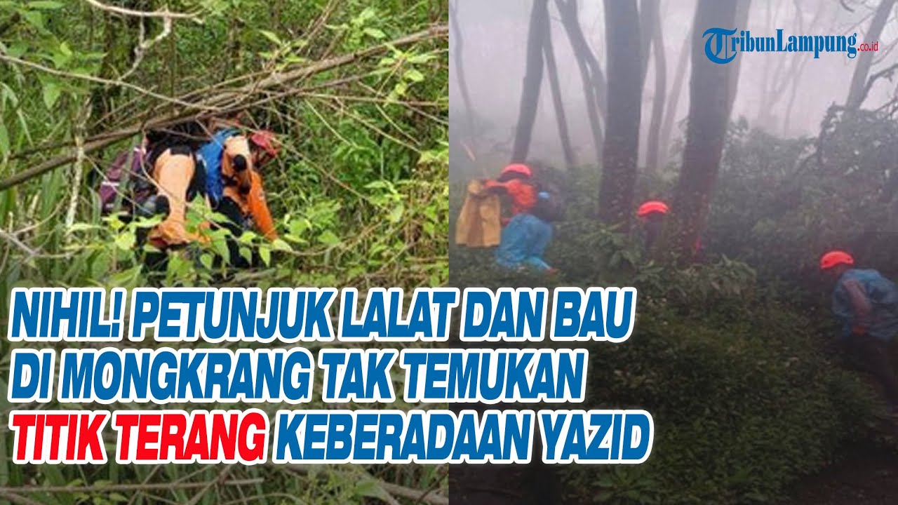 Nihil! Petunjuk Lalat dan Bau di Mongkrang Tak Temukan Titik Terang Keberadaan Yazid