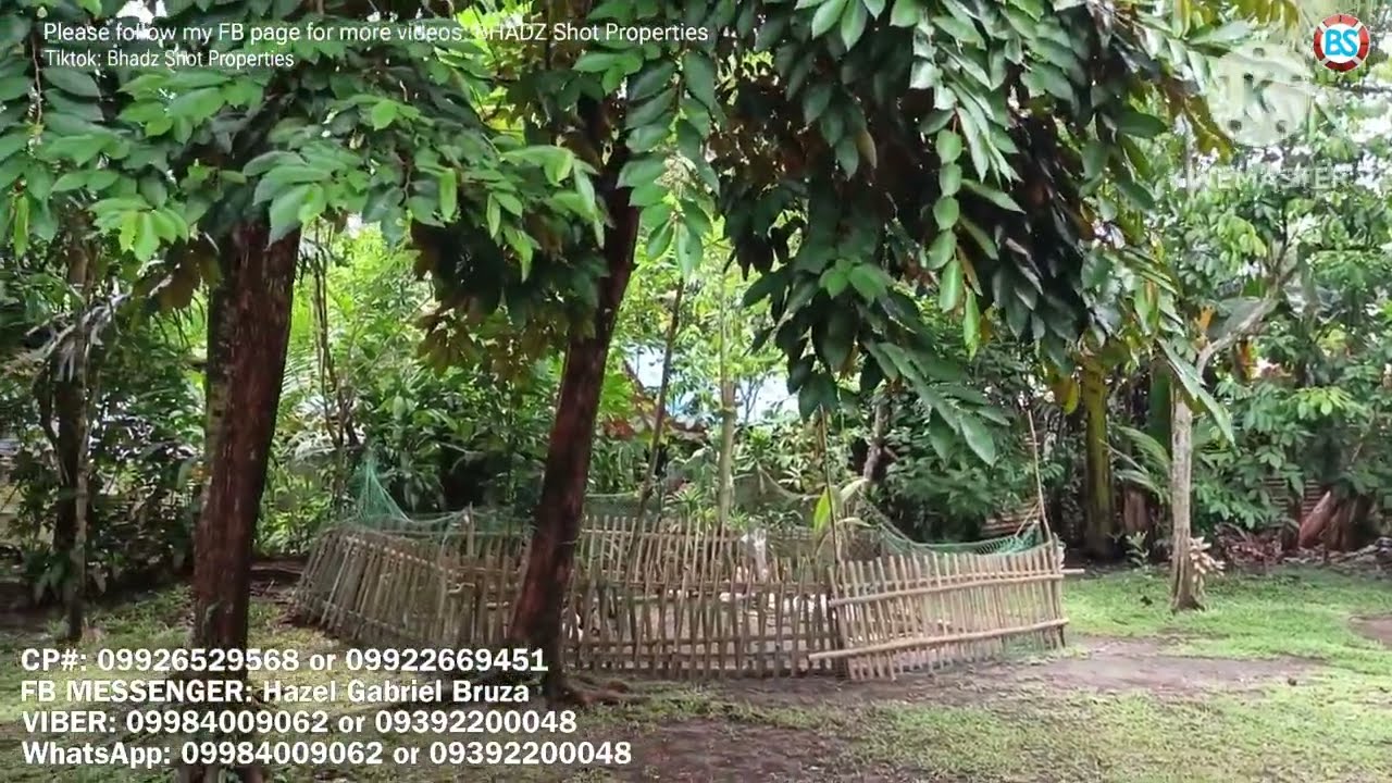 (P# 791) 400 sqms Farm Lot @ 700,000 pesos only in Nagcarlan, Laguna for sale
