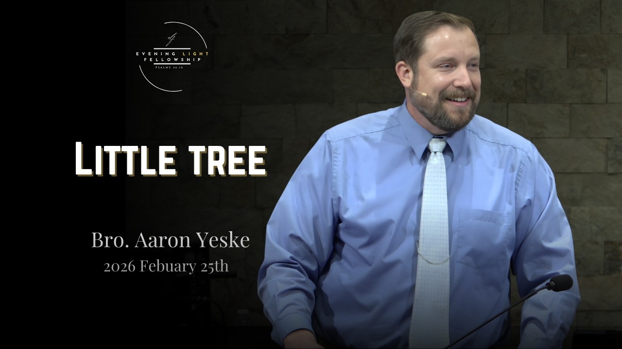 Little Tree - Bro. Aaron Yeske