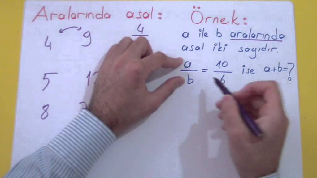 ASAL SAYILAR - Şenol Hoca