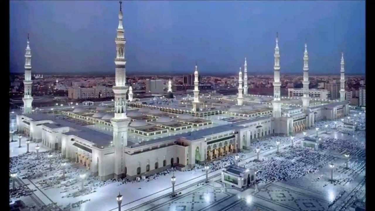 خوف الحامل والمرضع لمعالي الشيخ الدكتور محمد بن محمد المختار الشنقيطي عضو هيئة كبار العلماء