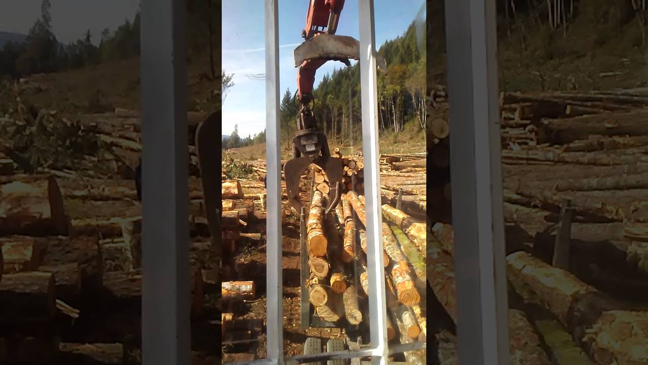 West coast logging