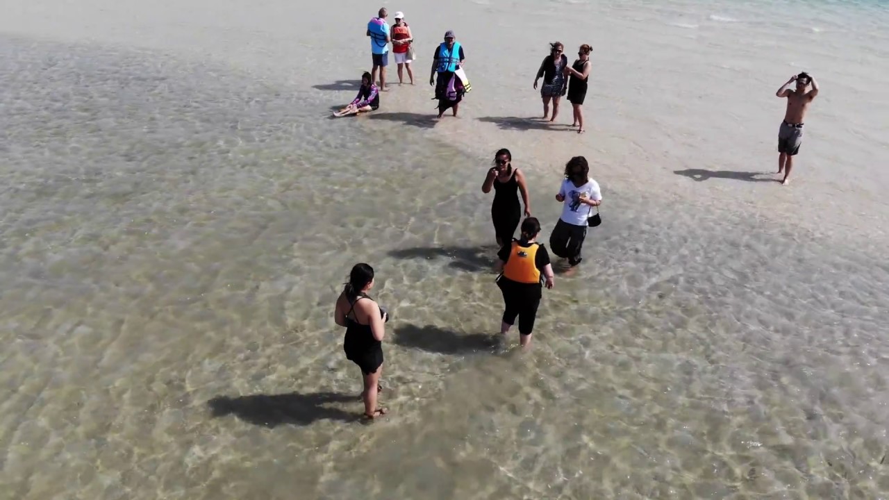 Sandbar at Calatagan Beach Resort 02