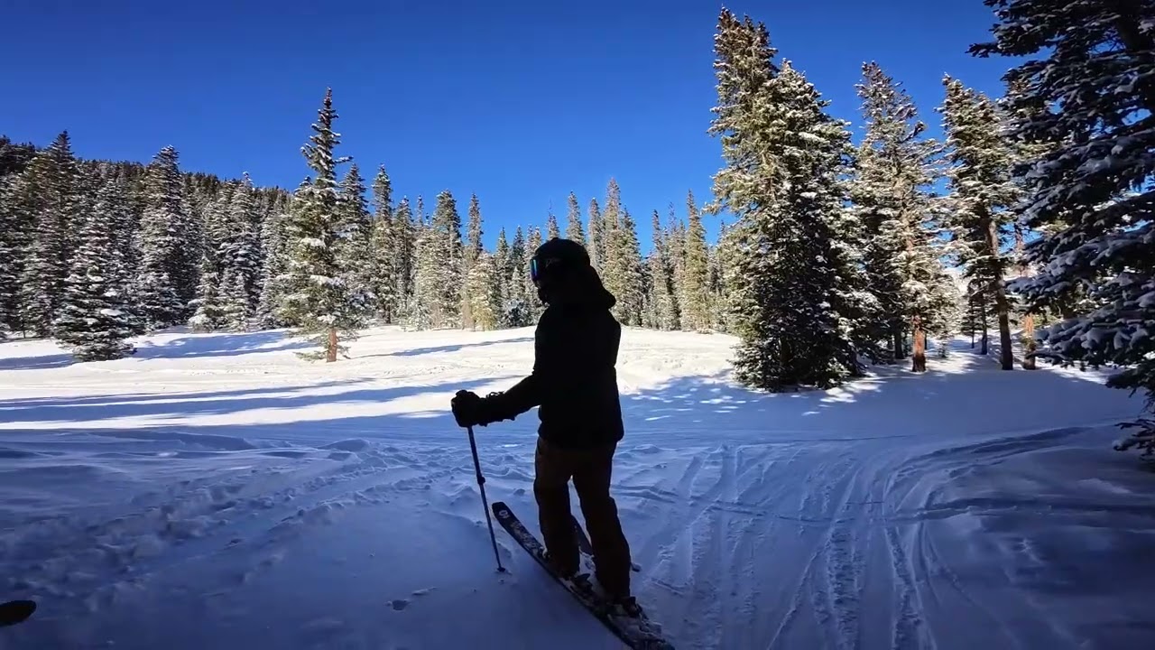 Prospect Woods | Telluride Skiing 2026