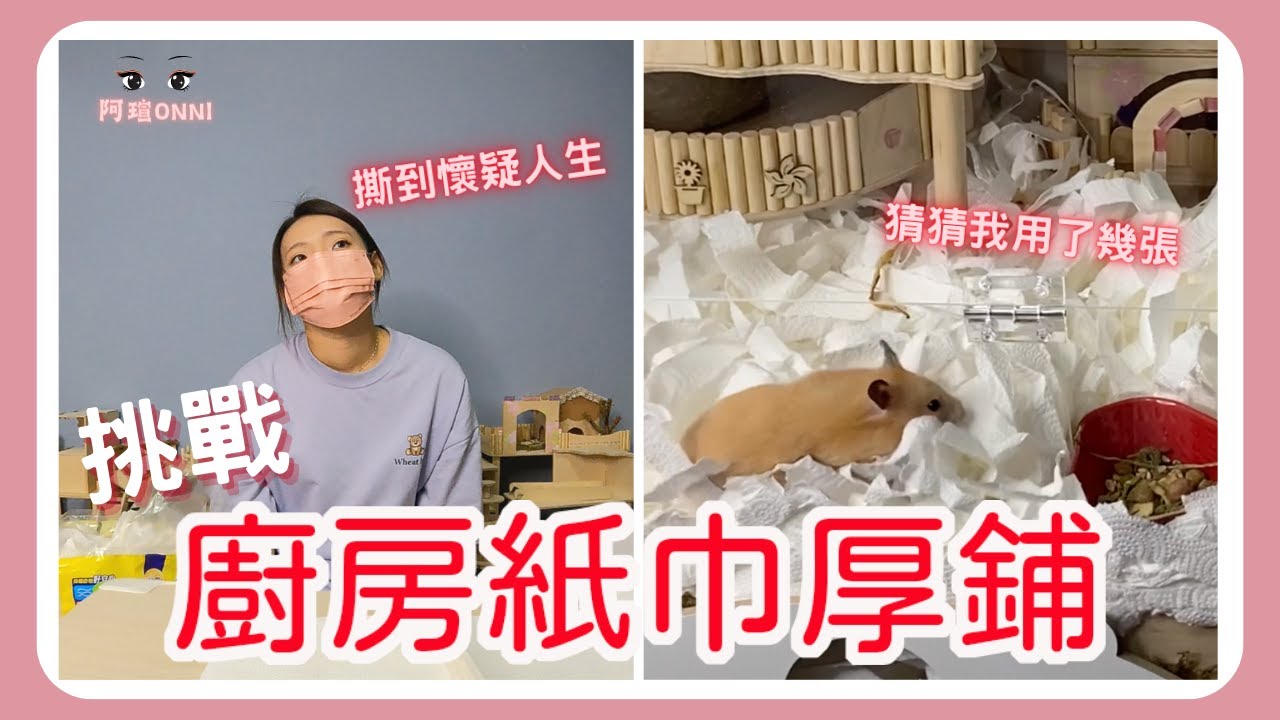 整籠的廚房紙巾當黃金鼠冬天的墊料！挑戰手撕的速度累到阿助都在看，佈置完真的很像冬天的雪花❄️
