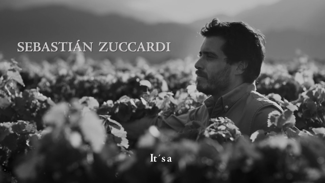 Zuccardi Piedra Infinita 2016
