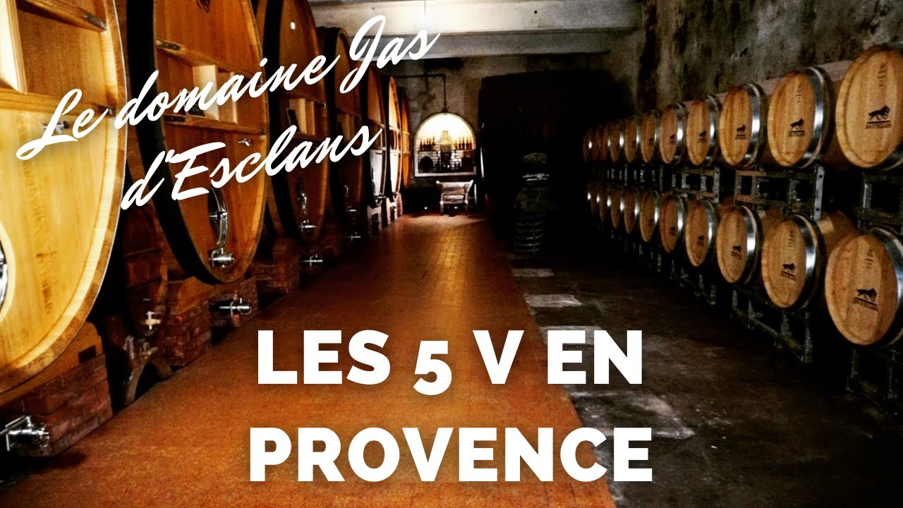 VINS de PROVENCE : visite au domaine Jas d'Esclans  - Les 5 V