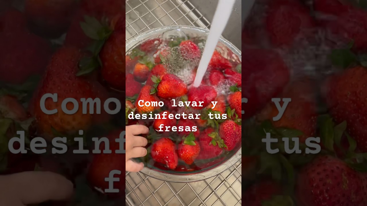 Como lavar y desinfectar tus fresas