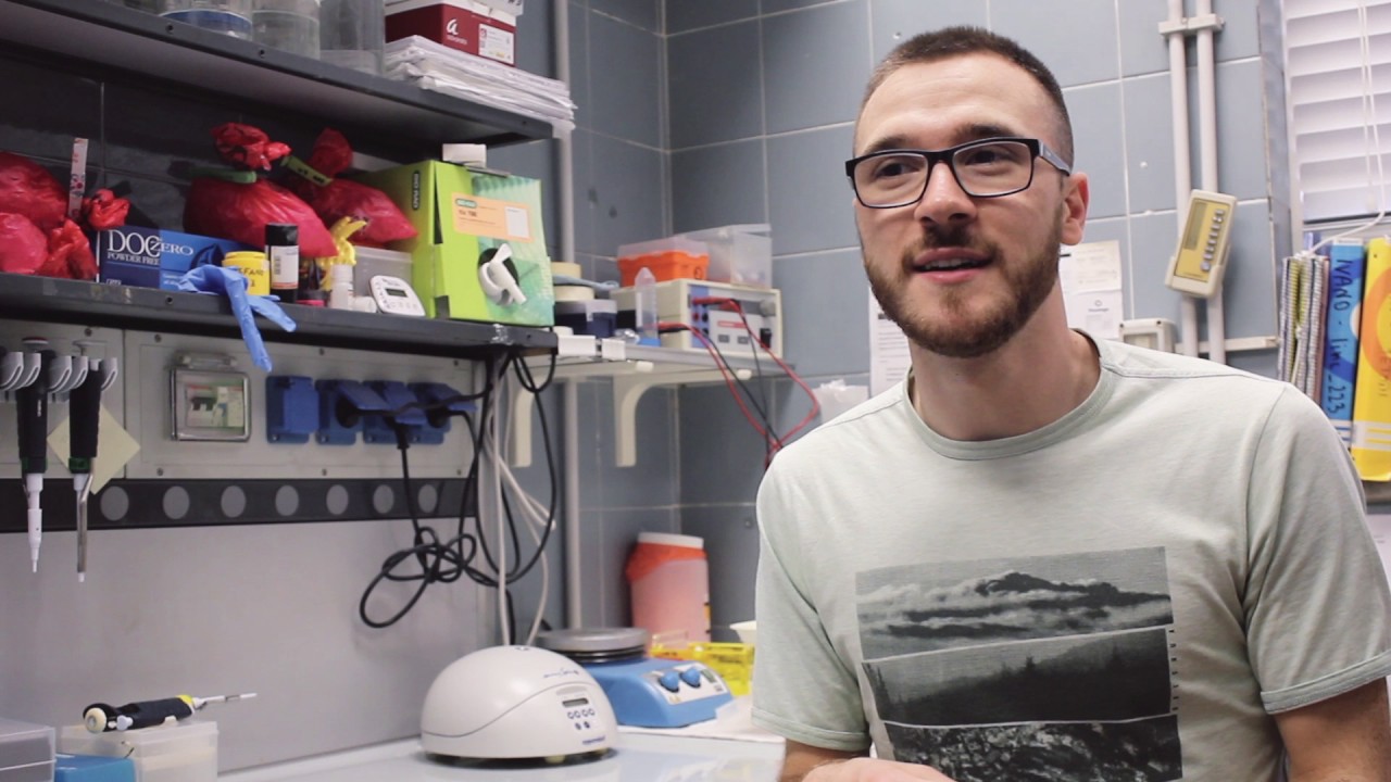 Master Course in Genetics and Molecular Biology: Student's point of view